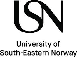 USN Logo